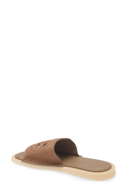Dolce & Gabbana Dolce&gabbana Crosta Slide Sandal In 80024-nocciola