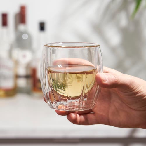 Viski Double Walled Spirits Glasses Set Of 2 In Clear