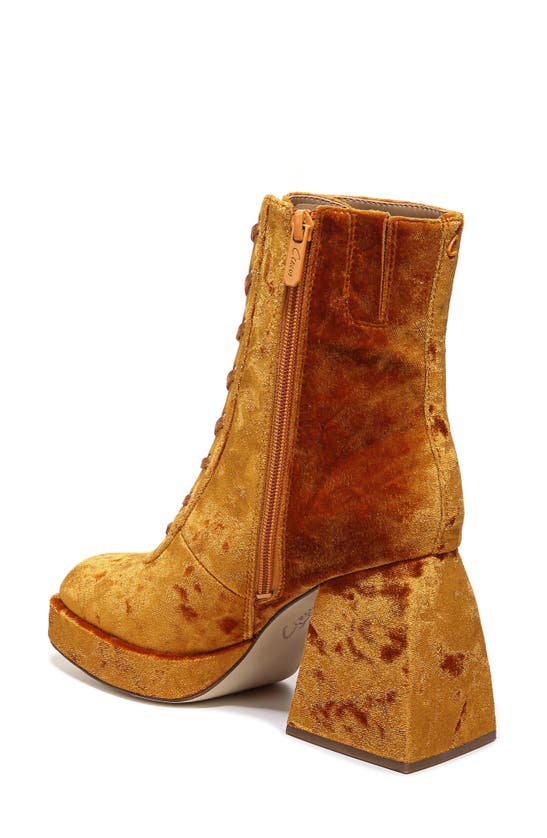Circus Ny Kia Block Heel Bootie In Orange