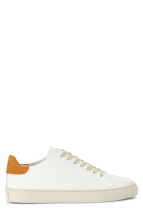 Shop Kurt Geiger London Lennon Low Top Sneaker In White