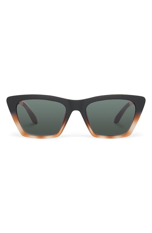 TOMS Sahara 54mm Cat Eye Sunglasses in Matte Black Honey Tortoise 