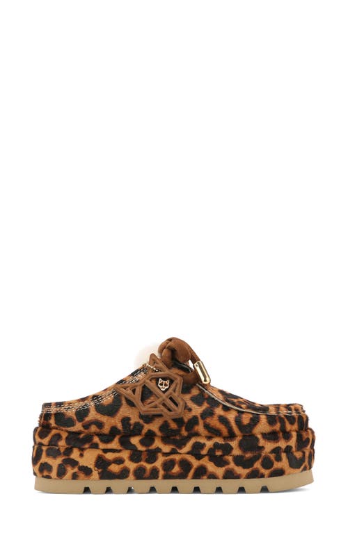 Shop Naked Wolfe Blizzard Genuine Shearling Platform Clog In Leopard-suede/shearling