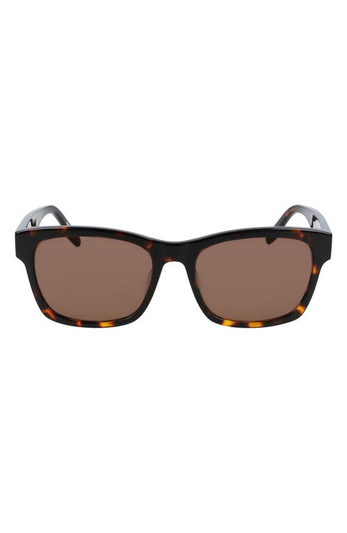 Converse All Star® 56mm Rectangle Sunglasses in Dark Tortoise/Brown