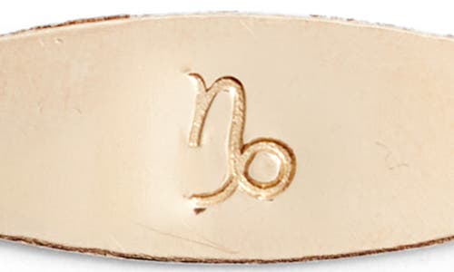 Set & Stones Zodiac Sign Id Bracelet In Capricorn