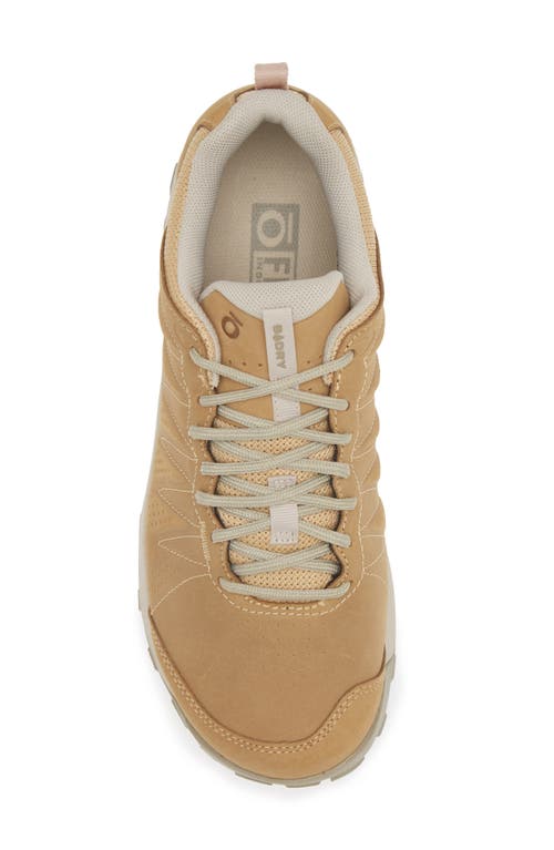 Oboz Sypes Low B-dry Hiking Sneaker In Acorn