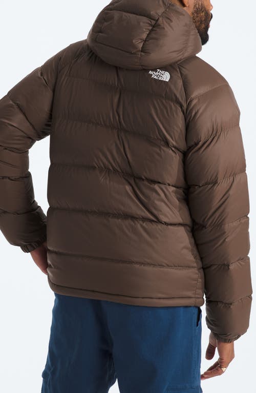 Shop The North Face Hydrenalite 600 Fill Power Down Hooded Jacket In Smokey Brown