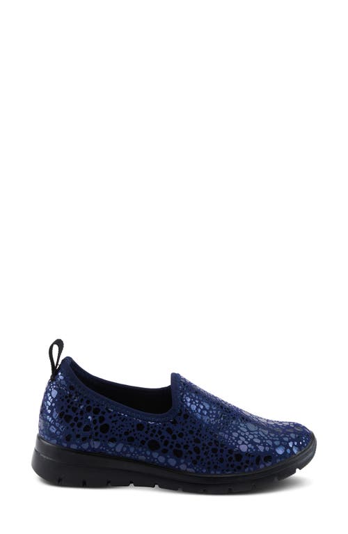 Flexus By Spring Step Anisia Slip-on Sneaker In Navy