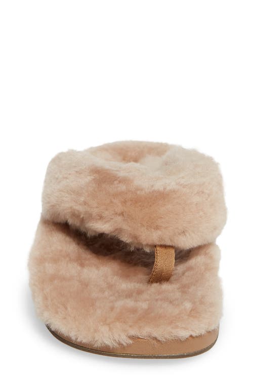 Olukai Kipea Heu Genuine Shearling Slide Sandal In Tan/tan