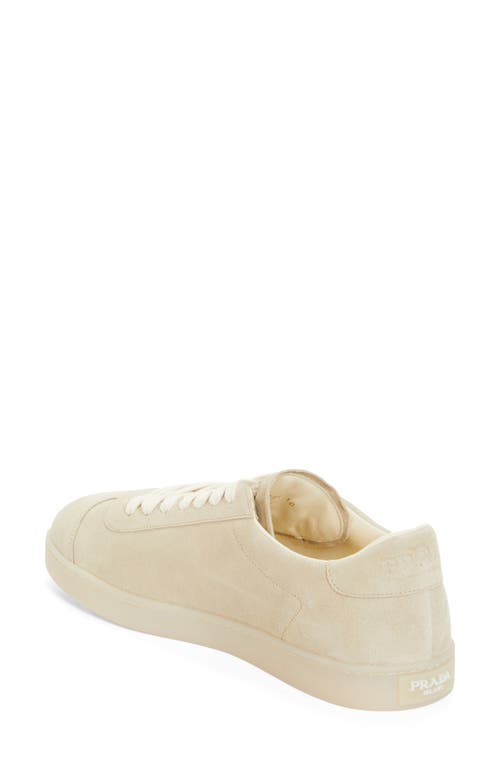 Shop Prada Lane Triangle Logo Sneaker In Pomice