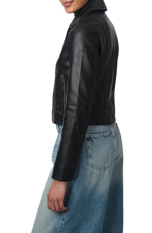 Shop Bernardo Crop Faux Leather Moto Jacket In Black