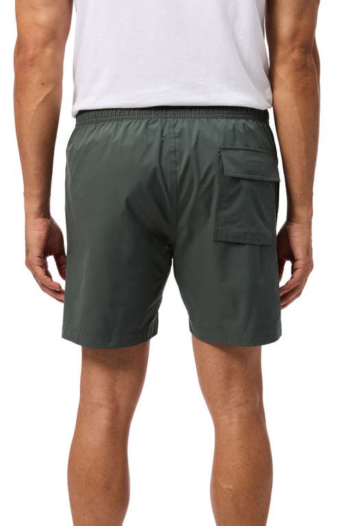 Shop Psycho Bunny Palm View Hydrochromic Swim Trunks In Urban Chic