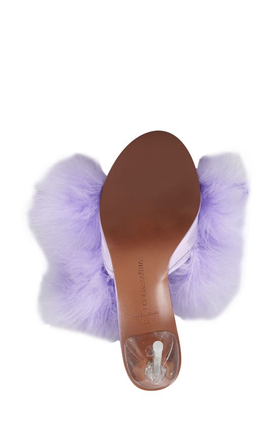Shop Bcbgmaxazria Dennika Ostrich Feather Sandal In Lilac