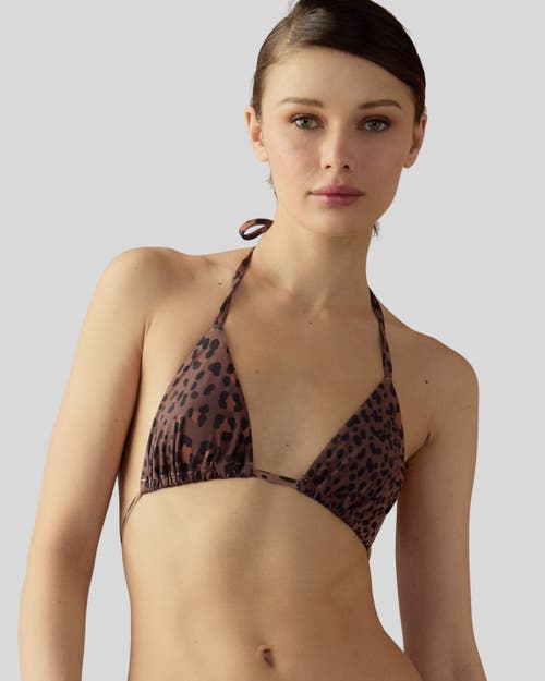 Bella Bikini Top in Brown