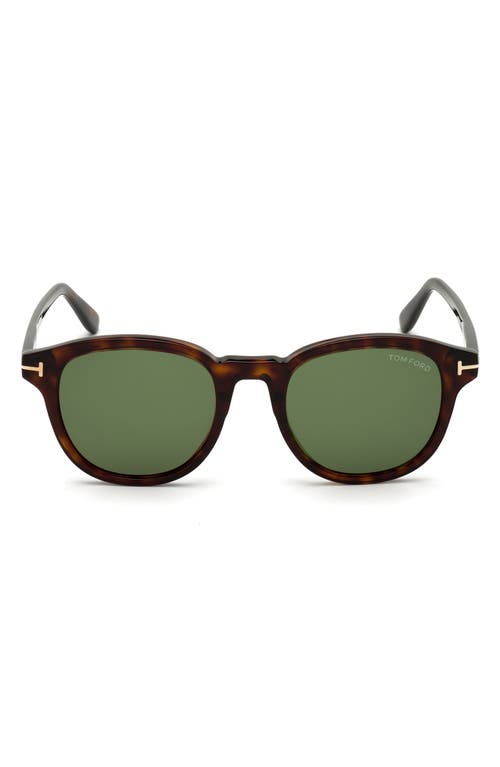TOM FORD Jameson 52mm Round Sunglasses in Classic Dark Havana/Green