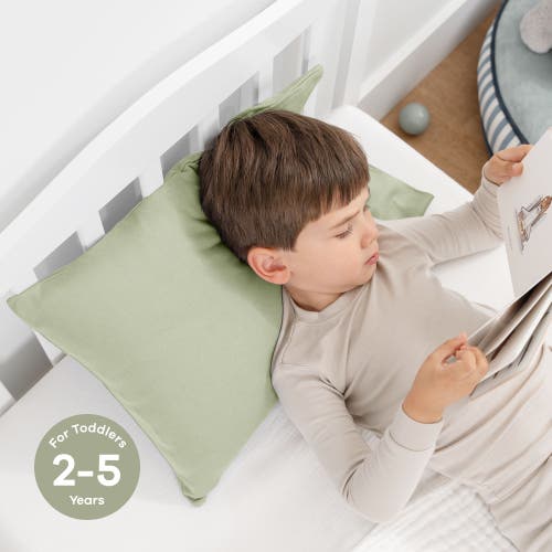 Comfy Cubs Toddler Pillow With Soft Cotton Pillowcase In Sage
