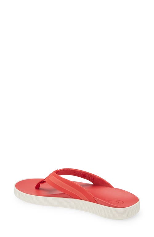 Shop Olukai Leeward Flip Flop In Red Lava/red Lava