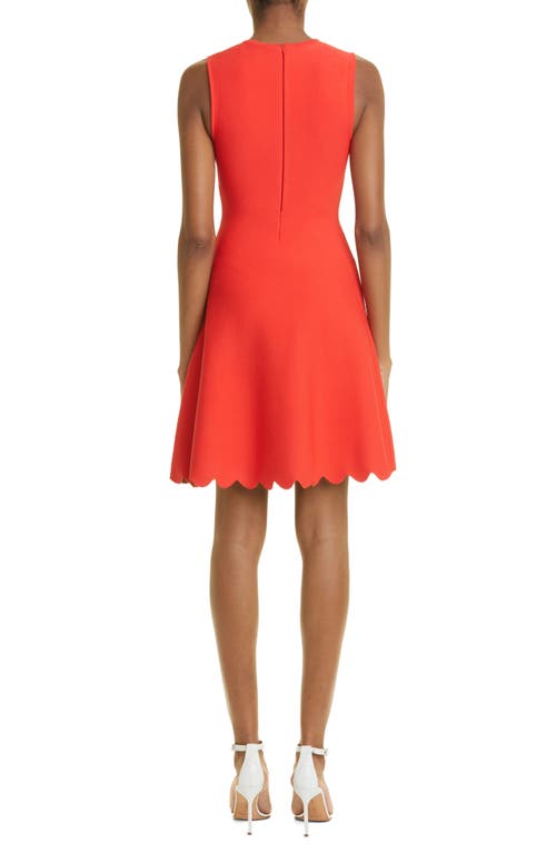 Shop Lela Rose Sleeveless Floral Scallop Hem Fit & Flare Dress In Red/tangerine