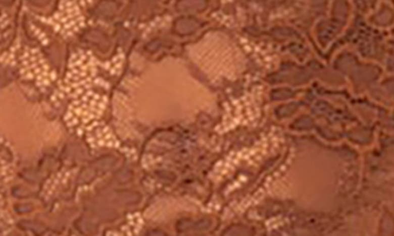 Shop Edikted Janina Sheer Lace Minidress In Brown