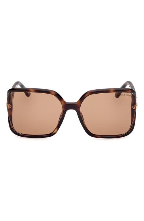 TOM FORD Solange-02 60mm Butterfly Sunglasses in Shiny Dark Havana /Brown at Nordstrom