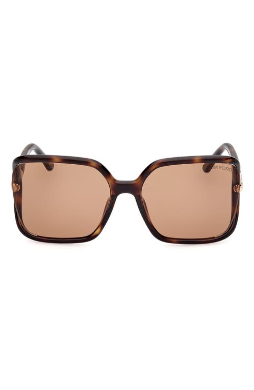 Shop Tom Ford Solange-02 60mm Butterfly Sunglasses In Shiny Dark Havana/brown