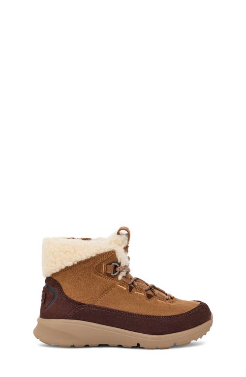 Shop Ugg(r) Kids' Terretrail Cozy Winter Boot In Chestnut