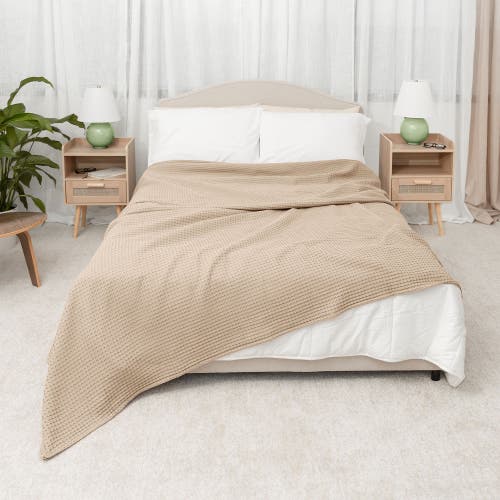 Comfy Cubs Adult Waffle Blanket In Sand