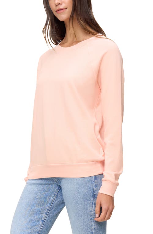 Shop The Standard Stitch The Raglan Sweatshirt In Peach