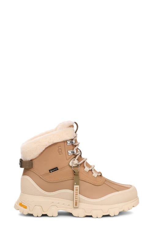 Ugg(r) Adirondack Meridian Waterproof Hiking Boot In Sand