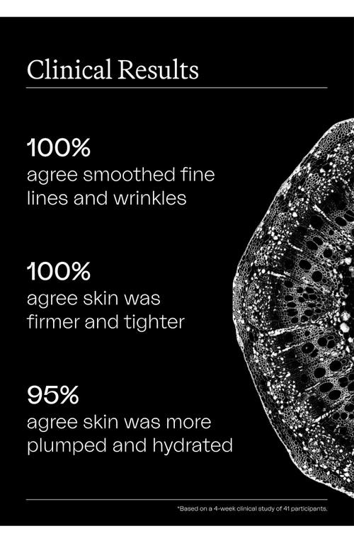 Eighth Day The Regenerative Serum Duo $650 Value In No Color