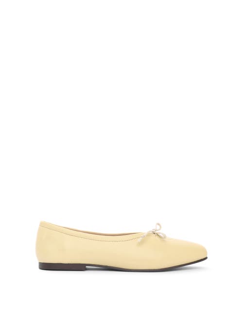 Maguire Prato Ballerina in Butter Cream at Nordstrom, Size 41