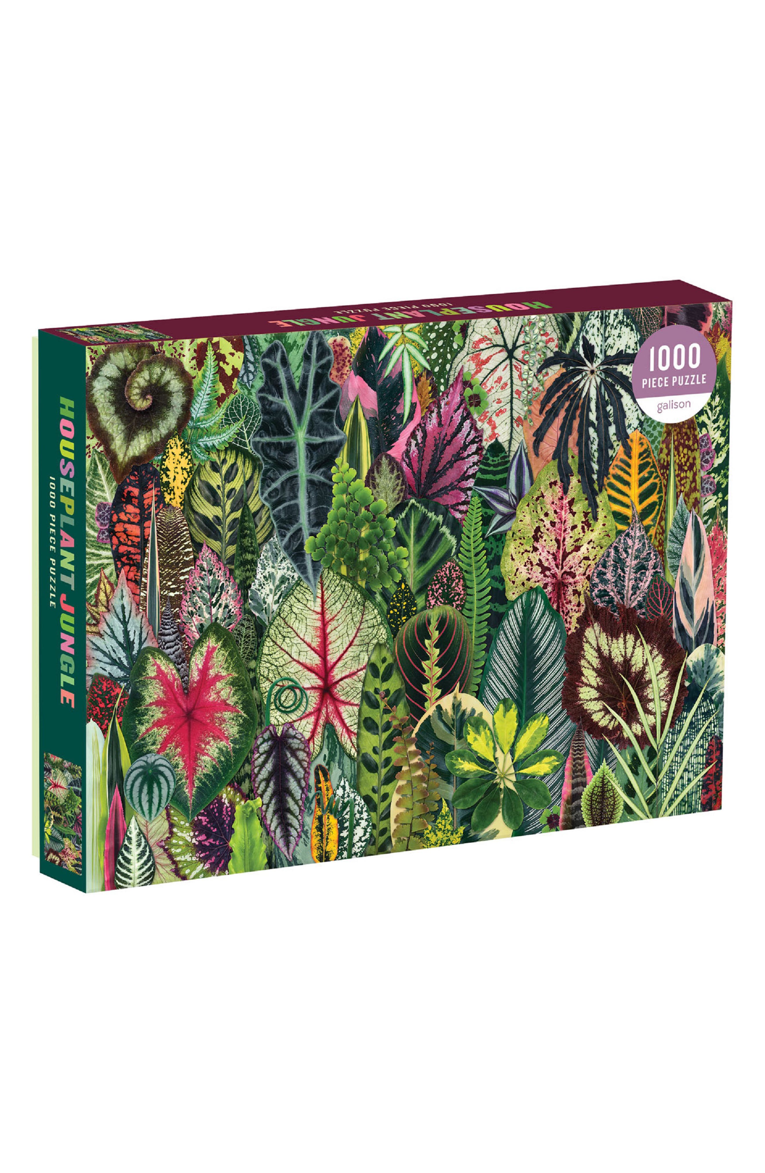 ISBN 9780735359611 product image for Chronicle Books Houseplant Jungle 1,000-Piece Puzzle | upcitemdb.com
