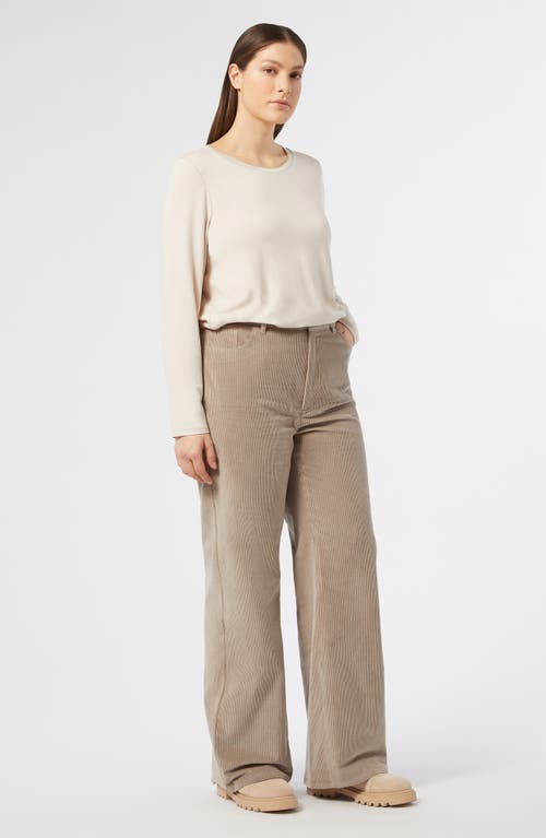 Shop Marina Rinaldi Luppolo Metallic Trim Knit Top In Beige