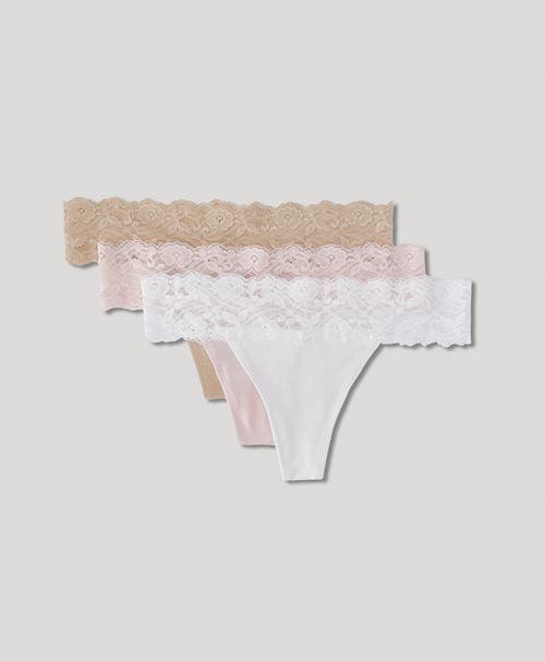 Pact Organic Cotton Lace Waist Thong 3-pack In Beloved Basics