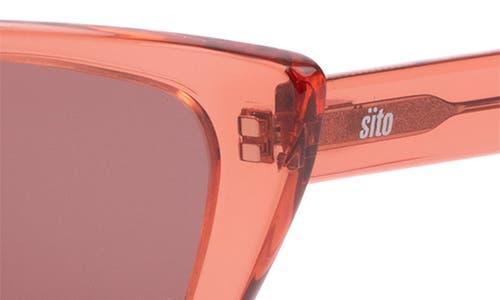 Shop Sito Shades Wonderland 54mm Gradient Standard Cat Eye Sunglasses In Watermelon/rosewood
