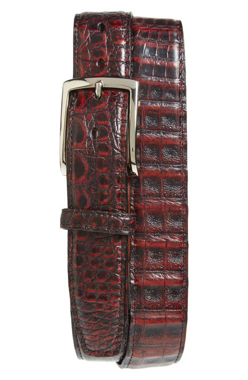 Caiman Leather Belt in Black Cherry