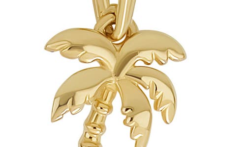 Bony Levy 14k Gold Palm Tree Pendant Necklace In 14k Yellow Gold