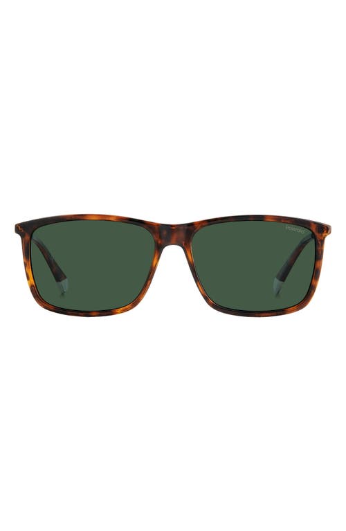 59mm Polarized Rectangular Sunglasses in Havana/Green Polar