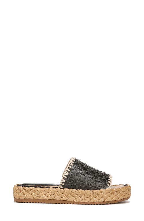 Circus Ny By Sam Edelman Wallis Raffia Platform Slide Sandals In Black