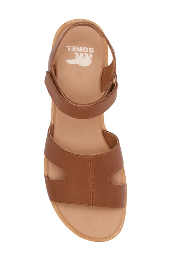 Shop Sorel Ella Iii Ankle Strap Sandal In Velvet Tan/ Gum 2