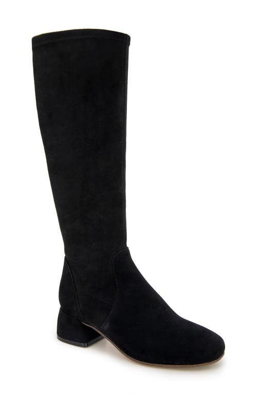 Shop Gentle Souls By Kenneth Cole Gentle Souls Emily Stretch Knee High Boot In Black Suede