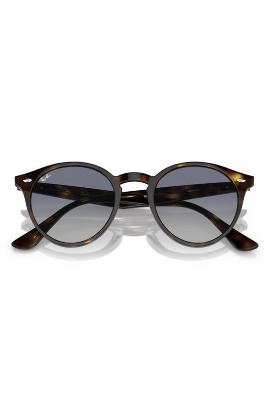 Shop Ray Ban 49mm Retro Sunglasses In Lite Havana