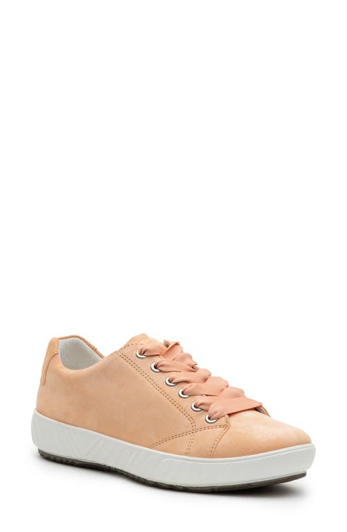 Alexandria Suede Sneaker in Apricot