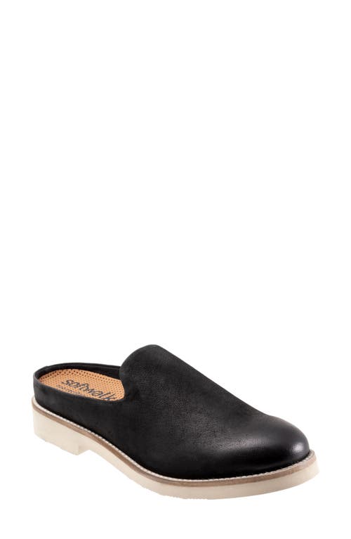 SoftWalk Wolcott II Mule in Black Nubuck at Nordstrom, Size 12