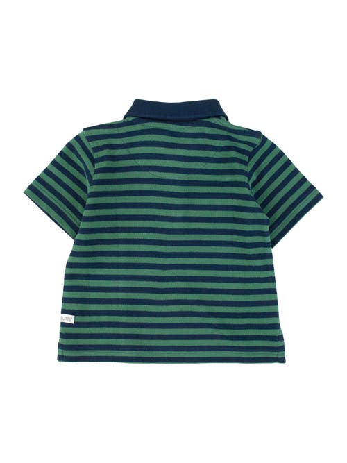 Shop Ruggedbutts Boys Pique Short Sleeve Polo Shirt In Fir Green & Navy Stripe