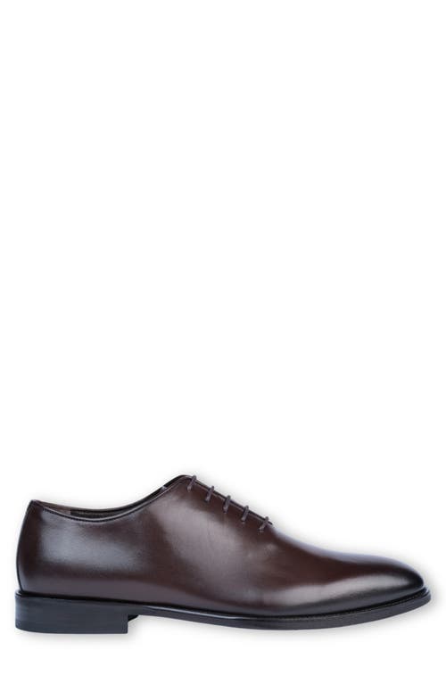 Vellapais Pile Oxford In Dark Brown