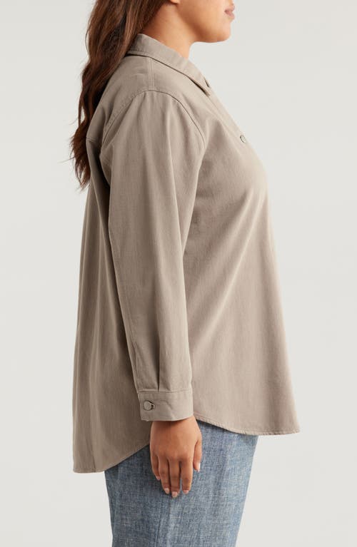 Shop Eileen Fisher Classic Collar Organic Cotton Shirt Jacket In Reed