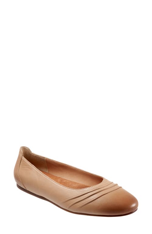 SoftWalk Safi Flat Mocha at Nordstrom,