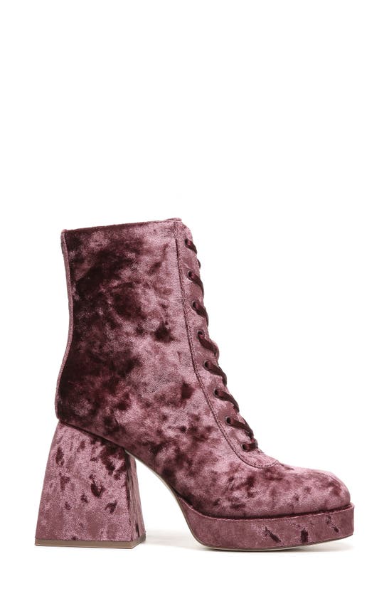 Circus Ny Kia Block Heel Bootie In Red Currant