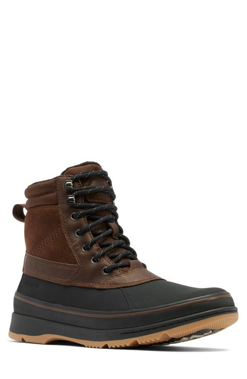 Sorel Ankeny Ii Plus Waterproof Hiking Boot In Tobacco/black