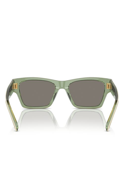 Tory Burch 53mm Rectangular Sunglasses In Green